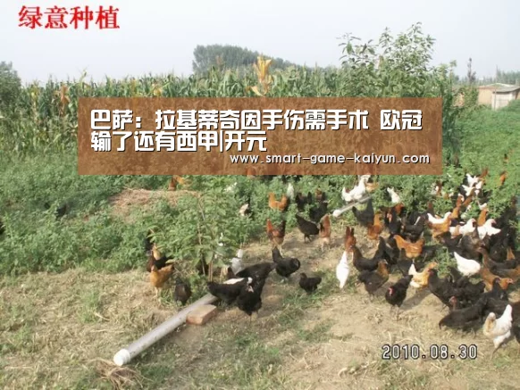 巴萨:拉基蒂奇因手伤需手术 欧冠输了还有西甲|开元(图1) 开元棋牌