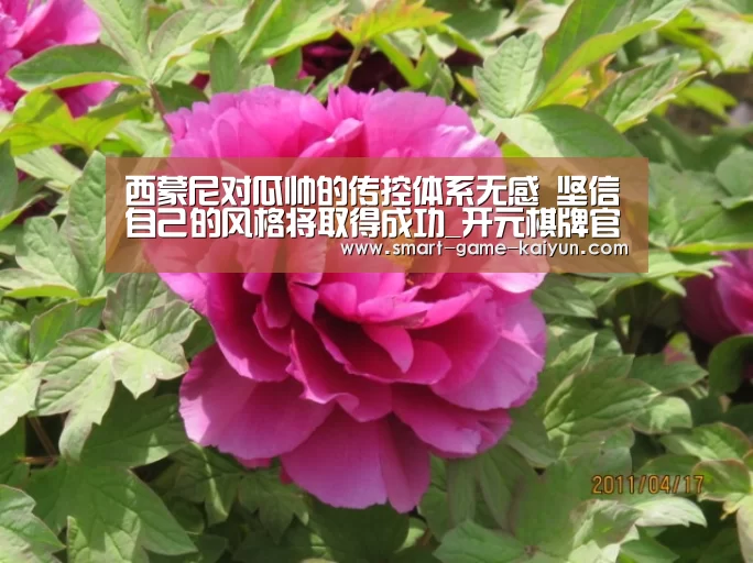开云棋牌